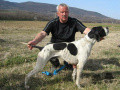 Pedigree SEMEGHINI IGOR Pedigree SEMEGHINI IGOR